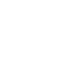 people icon
